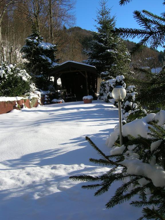 Aktivpension Regenbogen * Willingen (Upland)
